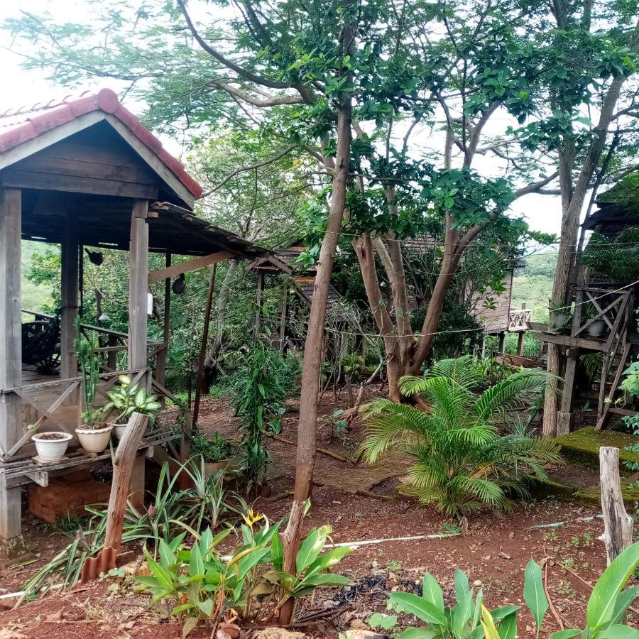 Quiet Garden View Lodge&Trekking Banlung Eksteriør bilde